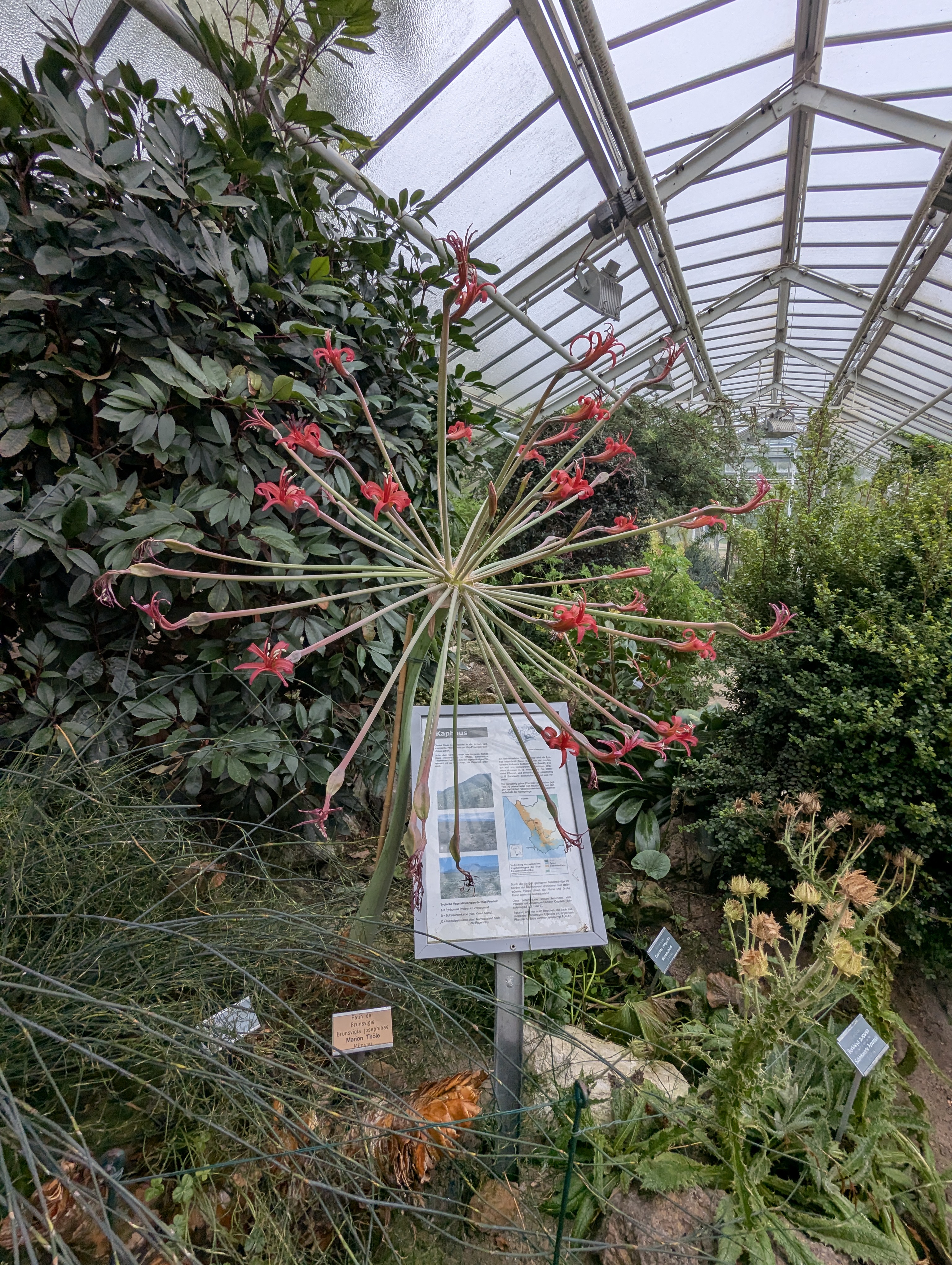 Botonic Gardens, Muenster, Germany